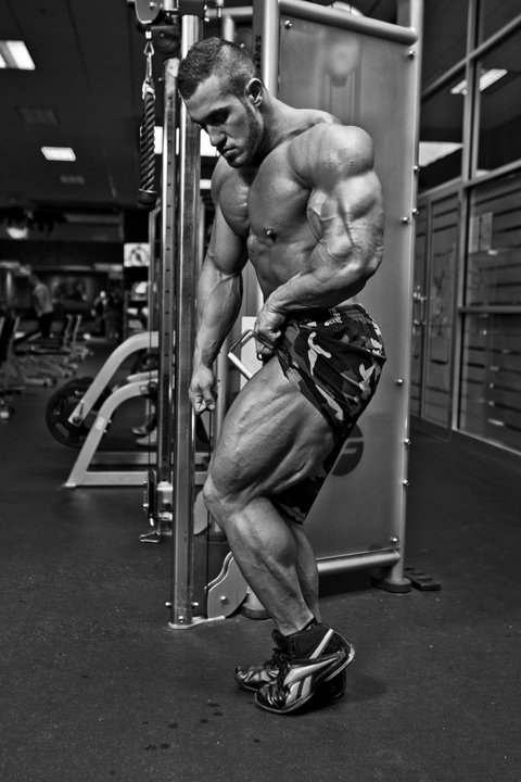 Савва Меледин | 