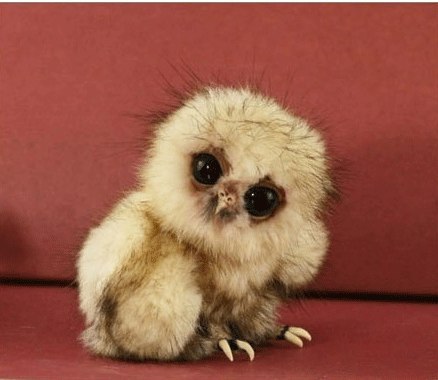 Катерина Селивёрстова | Москва