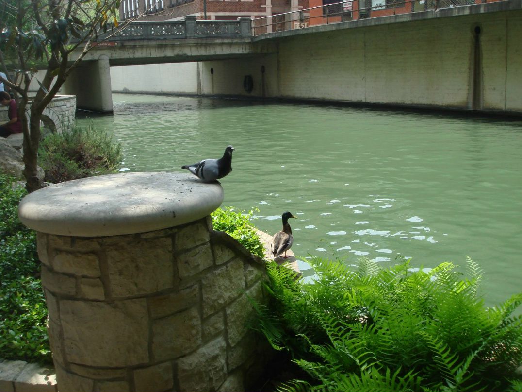 Саня Христюк DEEDJEE | Spokane