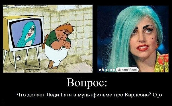 Мария Штейн | Kingston upon Hull