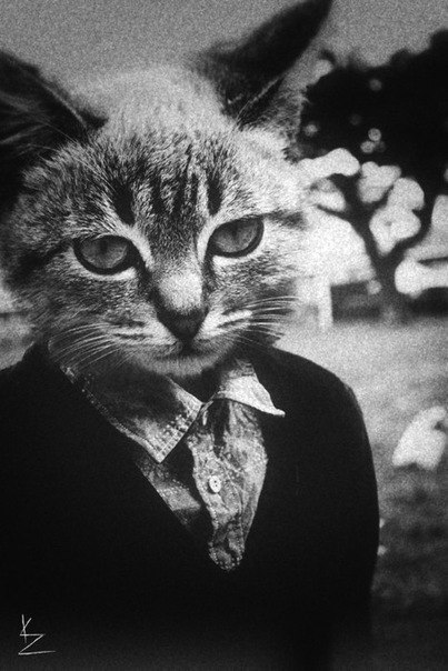 Иван Kaiman | Великий Новгород