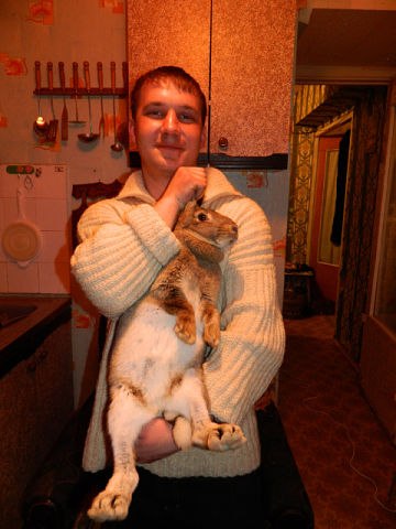 Максим Мордасов | Куркино