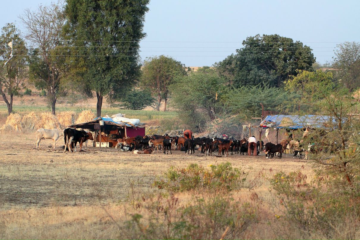 Иван Феоктистов ifet | Апшеронск