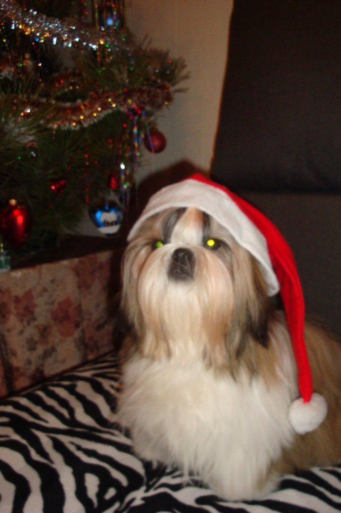 Ольга Касько | Каменское / Днепродзержинск