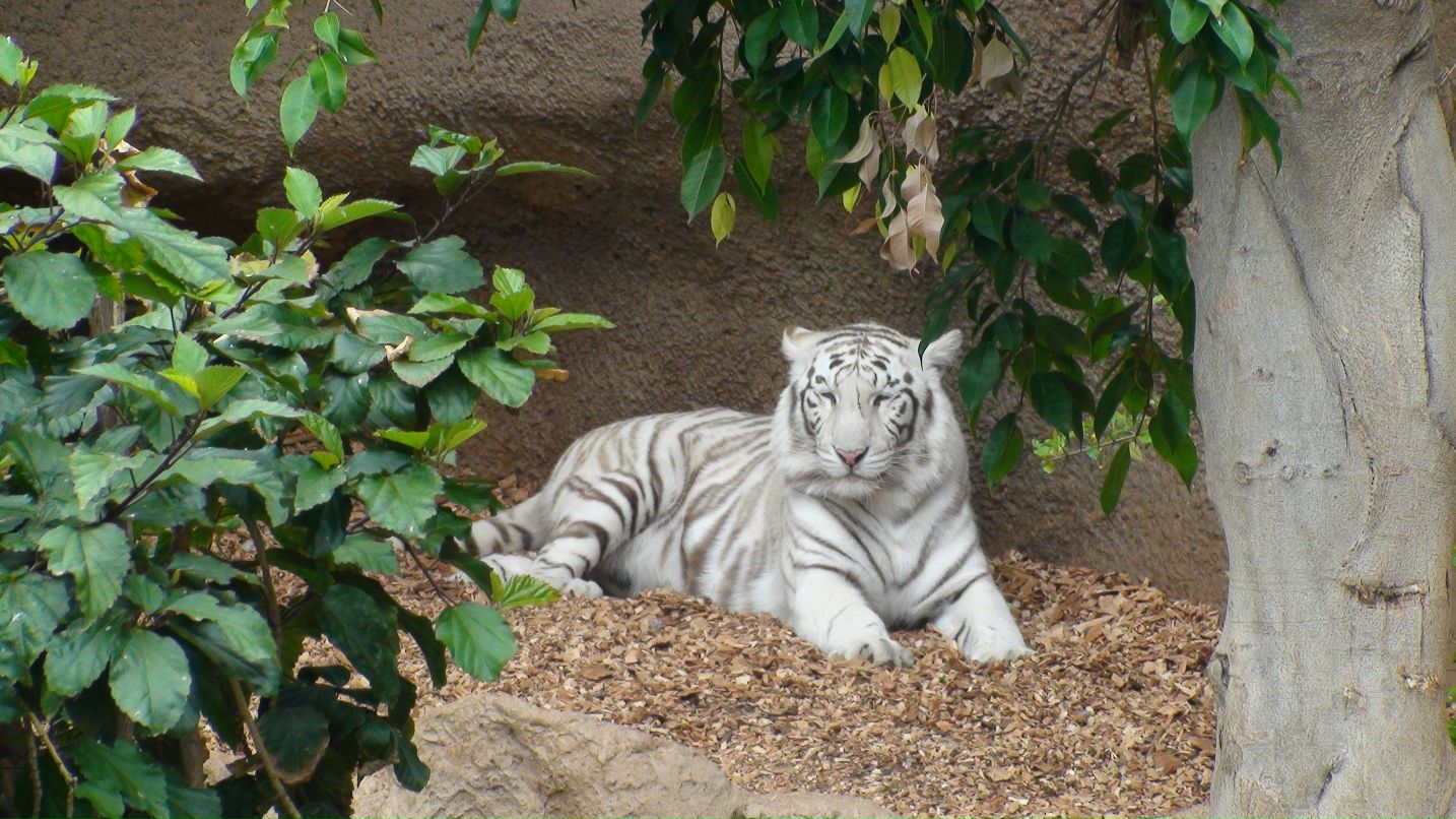 Lidia Efimova | Санкт-Петербург