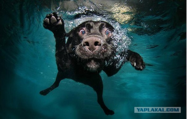 Борис Сосков | Москва