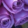 №19 Елена Кузьмина 21.04.1988: профиль, фото, статус - ВКонтакте №19 Елена Кузьмина 21.04.1988: профиль, фото, статус - ВКонтакте
