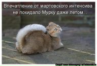 №18 Алена Изьюрова : профиль, фото, статус - ВКонтакте №18 Алена Изьюрова : профиль, фото, статус - ВКонтакте