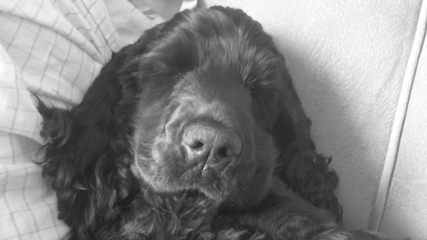 Ирина Иралина | Москва