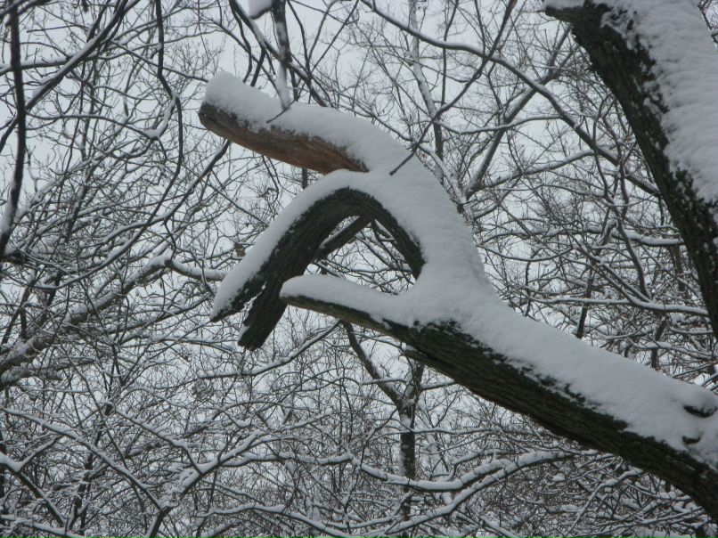 Валерий Башмаков | Dąbrowa Górnicza