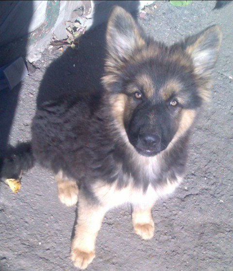 Игорь Терентьев | Донецк