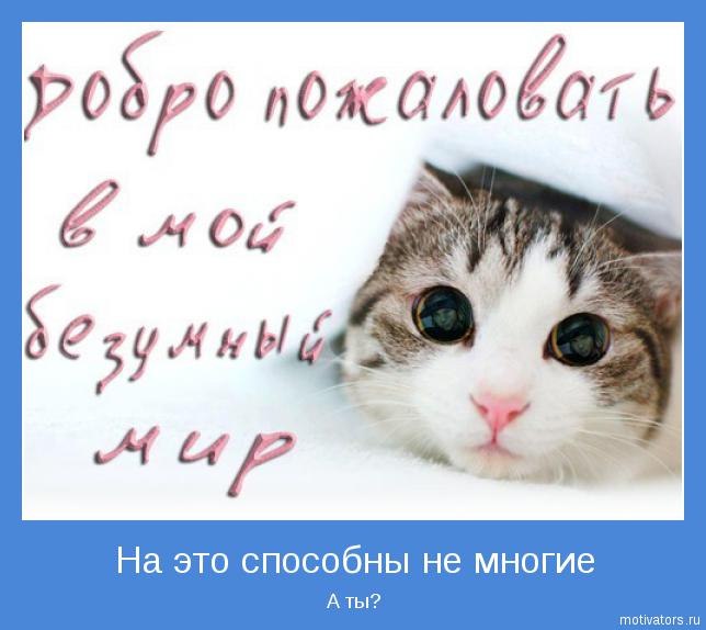 Анастасия Ткачёва *Nagrada* | Волгоград