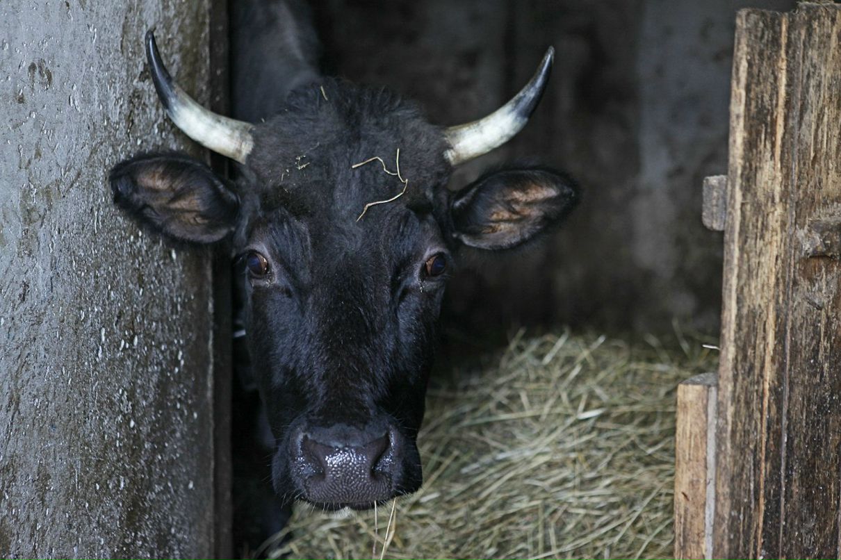 Андрей Кочетков | Москва