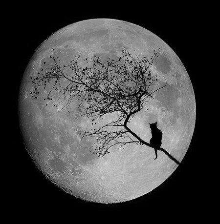 Максим Занобед | Калуга (деревня)