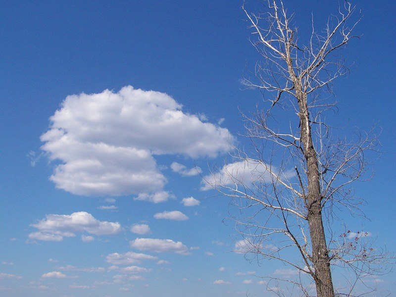 Александра Кузнецова | Мозырь