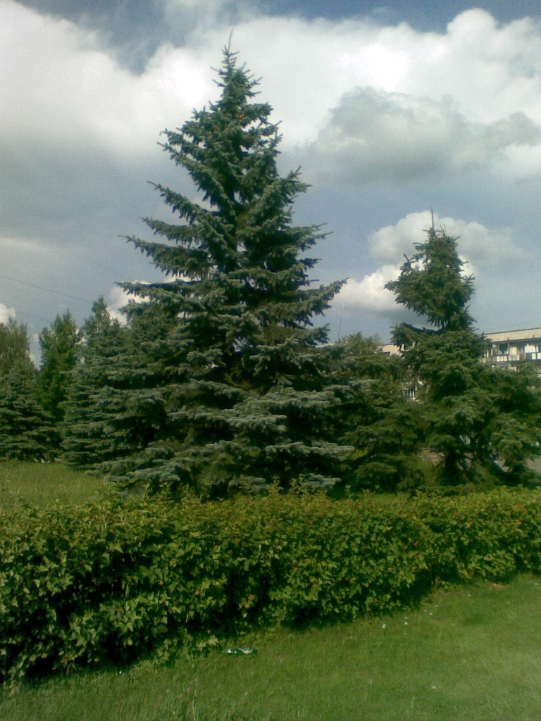 Владимир Мурашев Леонидович | 