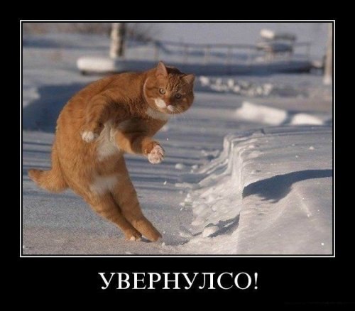 Владислав Губарь | Чернигов