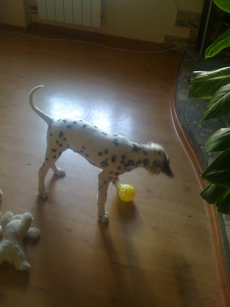 Ксения Королева | Москва