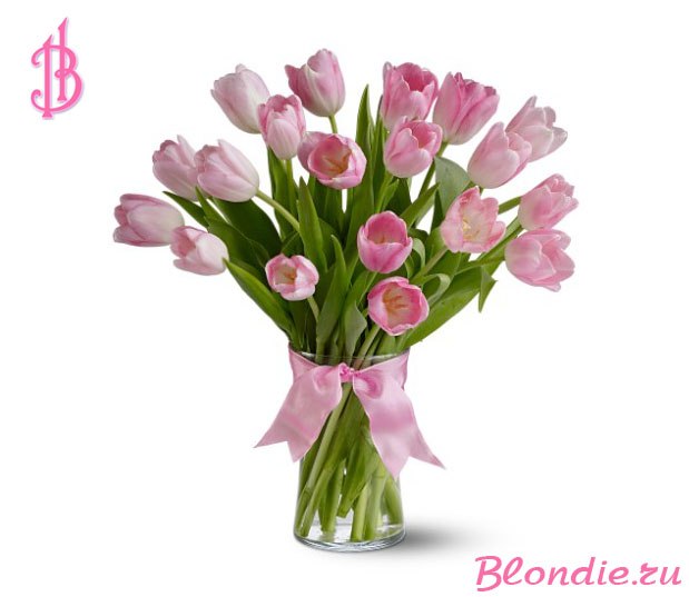 Елена Костенок | Донецк