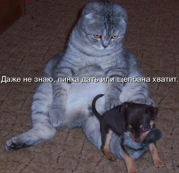 Ирина Тышкевич | Санкт-Петербург