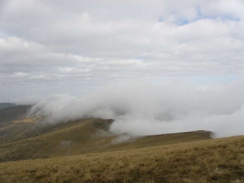 Наталія Тацишин-Войчишин | Ивано-Франковск