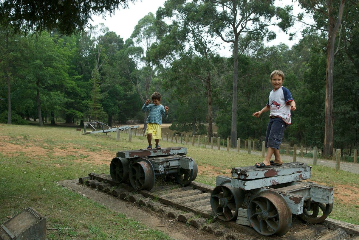 Дрю Святицкий | Melbourne