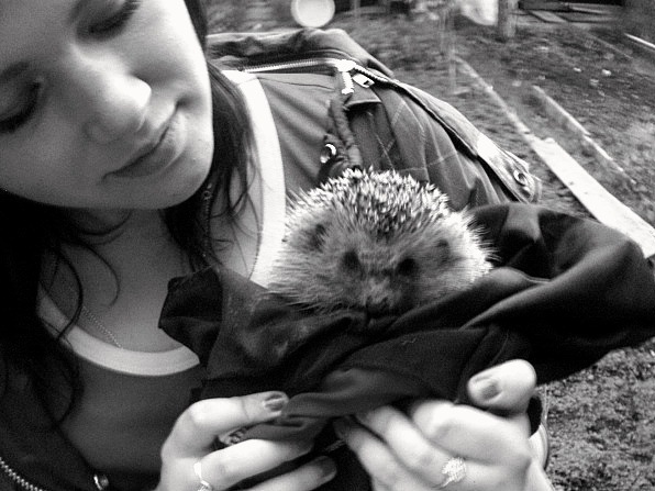 №35, Лиза Конобрицкая, Нарва №35, Лиза Конобрицкая, Нарва