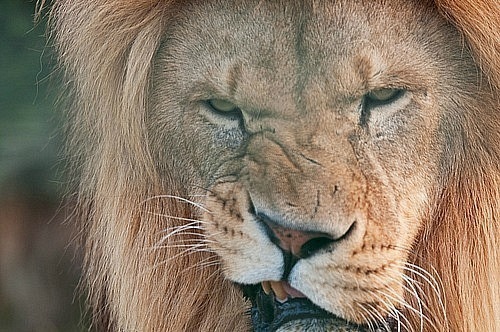 №45, Денис Трегубов, 48 лет, Пермь №45, Денис Трегубов, 48 лет, Пермь