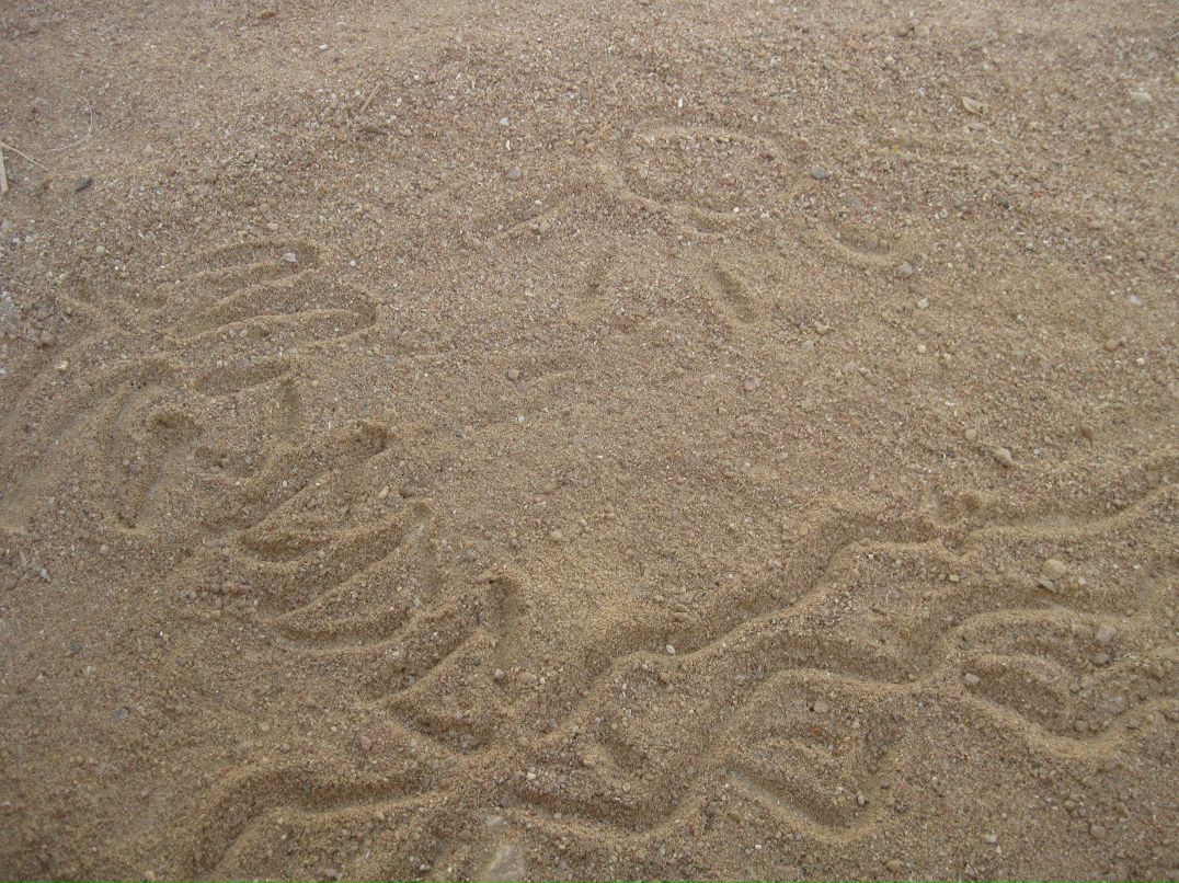 Ольга Суханова | 