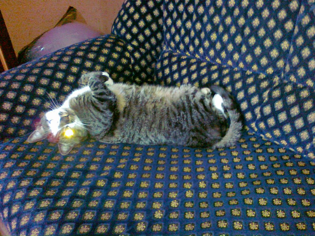 Максим Ивашкин | Калининград