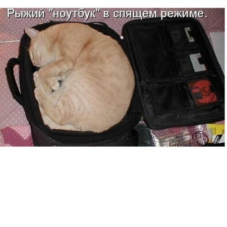 Лиза Косова | Москва