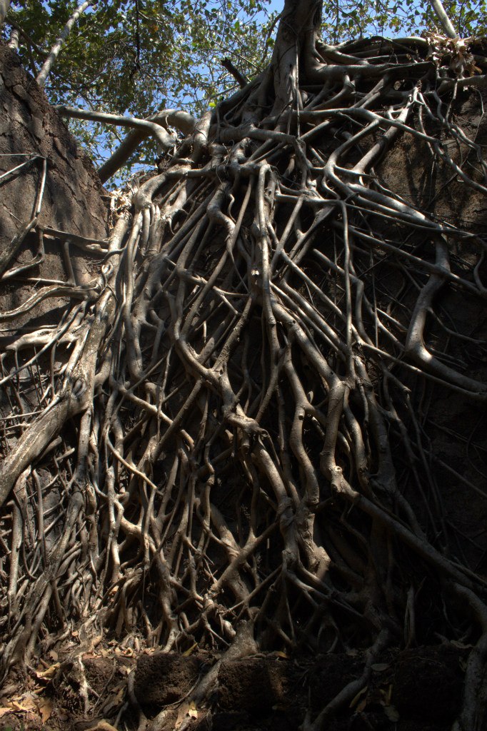 Полина Рощенко | Москва