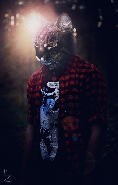 Евгений Ельцов | Запорожье