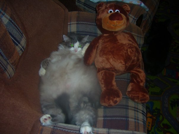 Андрей Цихмистрий | Пермь