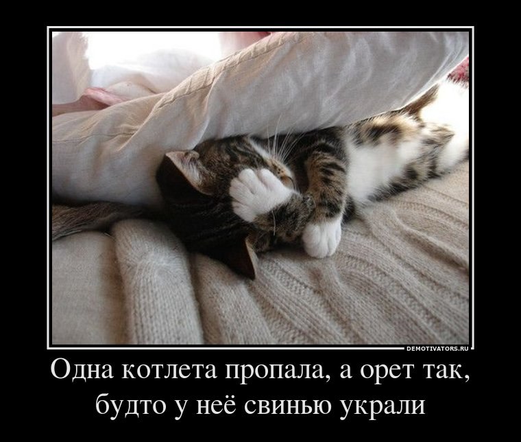 Ромка Крылов | Москва