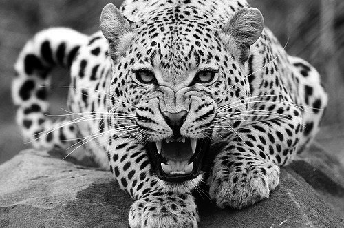 Алина Бирюкова | Энергодар