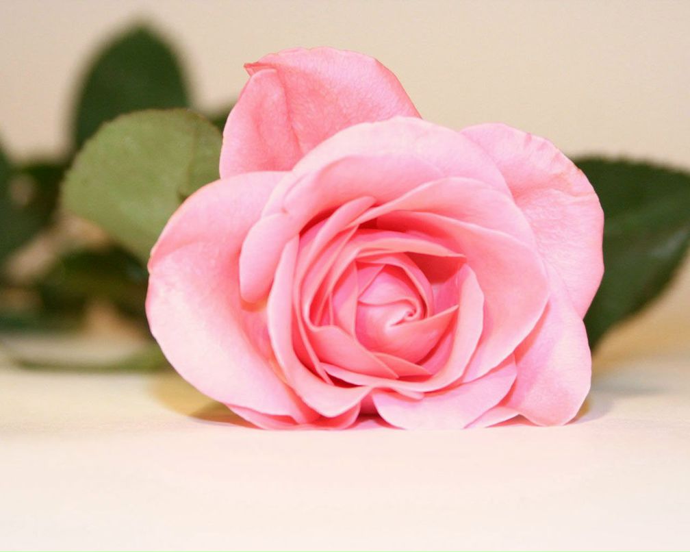 Надежда Преображенская | Санкт-Петербург