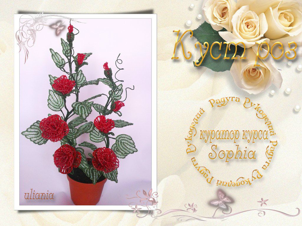 Ульяна Зима | 