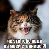 Сергей Корнеев