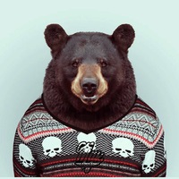 Виктор Викторович