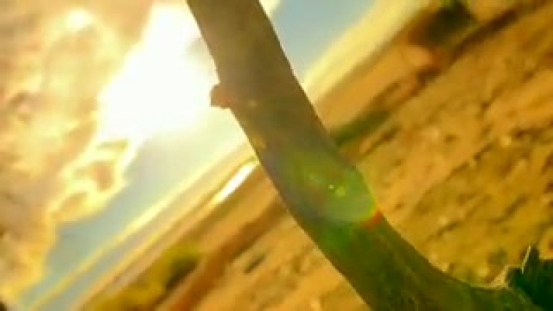 The beauty of nature and our planet