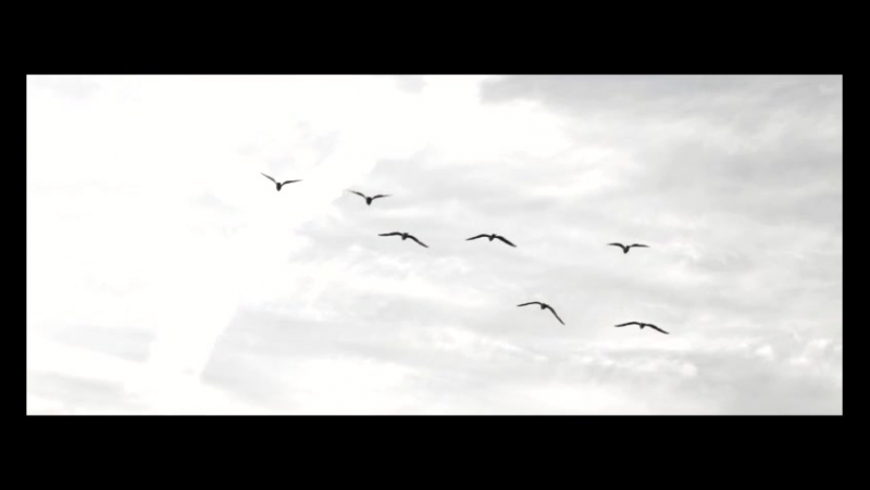 Omnia feat Tilde For The First Time ( Official Music