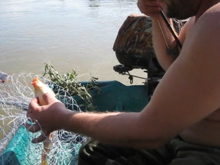 Астрахань база Кара агач Сазан на армейские