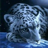 №40, Tanya Ch, 27 лет, Вологда №40, Tanya Ch, 27 лет, Вологда