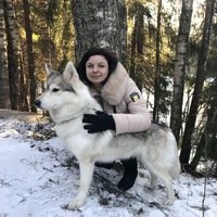 Елена Макарова