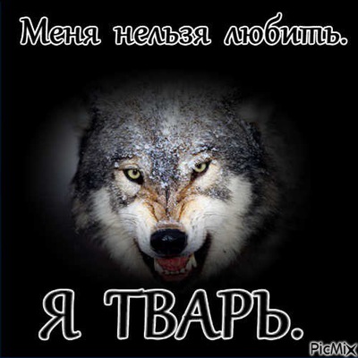 Открытки, картинка с надписью меня нельзя любить я тварь