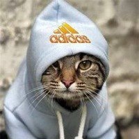 Юля Полякова