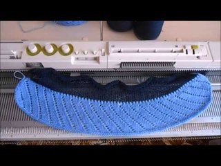 Платье для собаки породы йорк ч  1 Silver reed