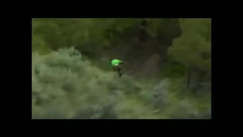 Free Ride by Matt