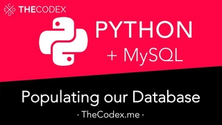 Python and MySQL - Populating our Database and Table